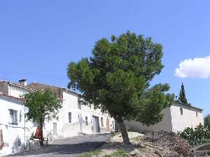 Vista de Comala 