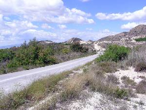 Camino de Comala 