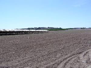 erriales y parrales 