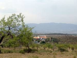 Almendros y Viviendas 
