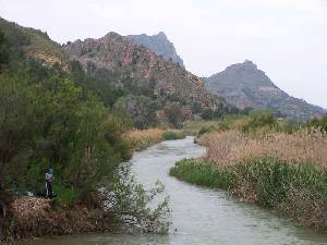 El ro Segura a su paso por el municipio de Cieza