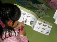 Colocar cada animal en su h�bitat ayuda a conocer la fauna regional