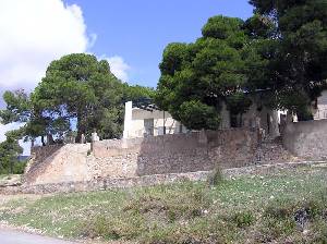 Pinos y Casas 