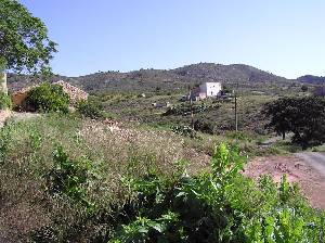 Campos 
