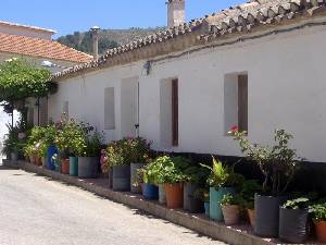 Calle Tpica