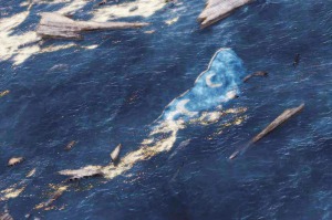 Ilustraci�n de los restos de una bandera pirata