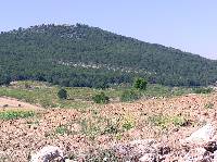 Cerro del Moral