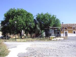 Plazoleta y Jardn 