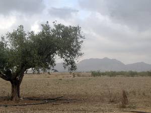 Entorno de Los Meroos 