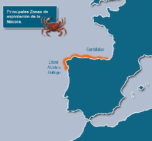 Zonas de explotaci�n de la n�cora en la Pen�nsula Ib�rica