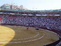 Toros durante la feria. Corrida de la Prensa