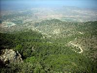 Jumilla desde la Sierra del Carche